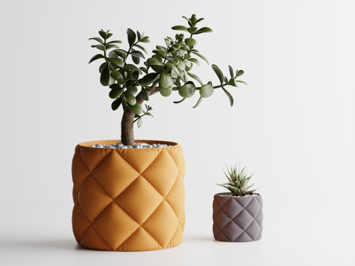 Inflated Cushion Plant Pot